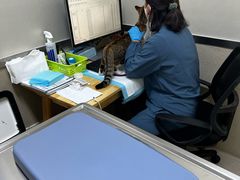 -爱妮康宠物医院·干细胞免疫细胞·肿瘤·心脏(张江店)