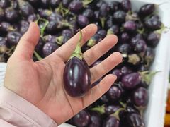 -济南海鲜大市场