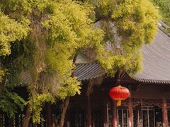 -深圳国际园林花卉博览园