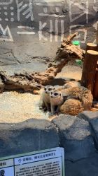 -Zoolung Zoolung动物主题公园(海信广场店)