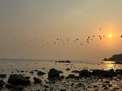 -深圳湾公园(南山区)