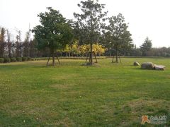 -华东师范大学第二附属中学(张江校区)