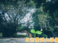 -天赐温泉
