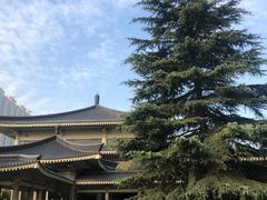 -陕西历史博物馆