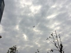 -尊宝比萨(英郡年华店)