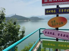-望湖烤鱼