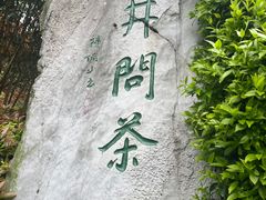 -龙井村