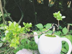 -法云安缦酒店