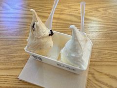 -野人先生Gelato(上海长宁龙之梦店)