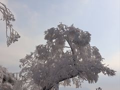 -江南天池