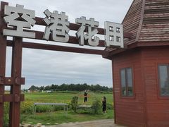 -空港花田景区