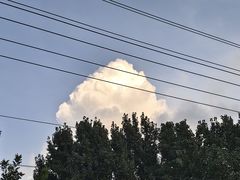 -比干庙景区