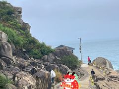 -广东惠东海龟国家级自然保护区