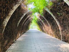 -天津东丽湖风景区