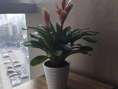 -亚坤(远东广场店)