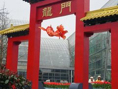 -南山植物园