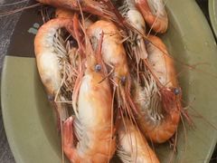 白灼罗氏虾-贞姨美食·老字号海鲜大排档