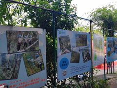 -芦仙山景区-飞越丛林探险乐园