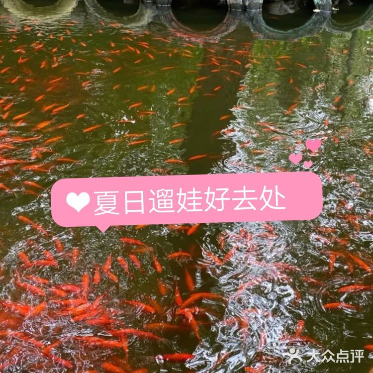 好玩又有趣的遛娃宝藏地,田妈妈魔法森林