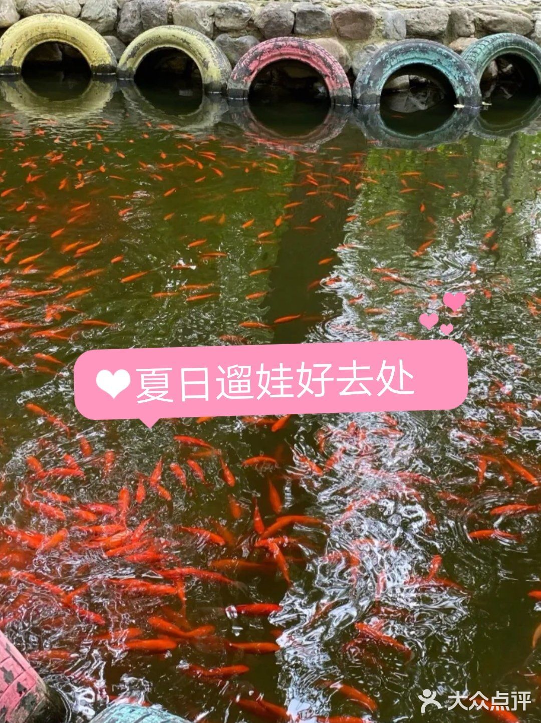 好玩又有趣的遛娃宝藏地，田妈妈魔法森林