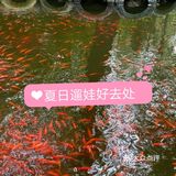 好玩又有趣的遛娃宝藏地，田妈妈魔法森林