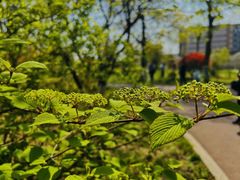 -陕西省西安植物园