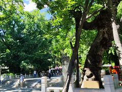 -潭柘寺景区