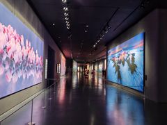 -罗红摄影艺术馆