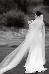 -Vera Wang婚纱礼服旗舰店