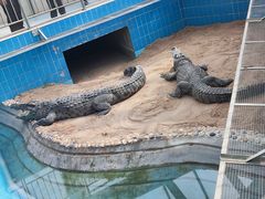 -太原动物园