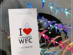 -WFC会仙楼观景台