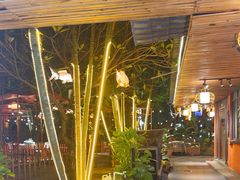 -陶缘一号·四季缘·老字号顺德菜·户外婚礼家宴(西滘店)
