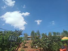 -桃源山庄·水蜜桃采摘·柴火鸡·烧烤团建(龙泉山店)