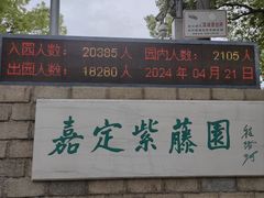 -嘉定紫藤园
