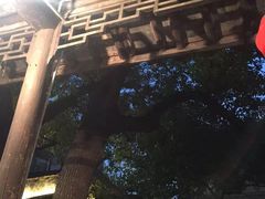 -观桥阁(锦溪店)