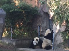 -宁波野生动物园