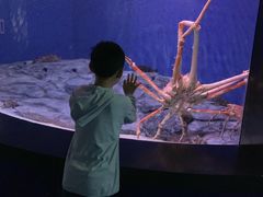 -新加坡海洋生态馆