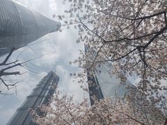 -上海环球金融中心骑迹50年环球之旅