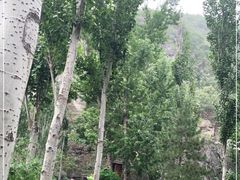 -幽岚山·童话森林
