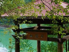 -广州白江湖森林公园