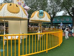 -秦皇岛乐岛海洋王国