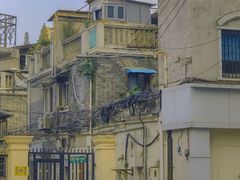 -溧阳路经典老洋房