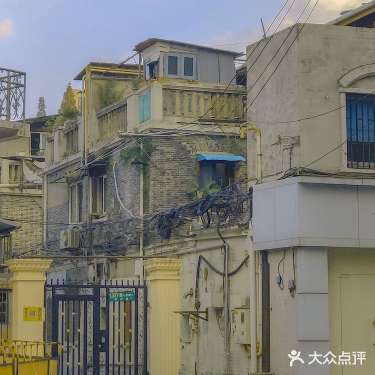 你为什么喜欢上海