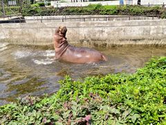 -合肥野生动物园
