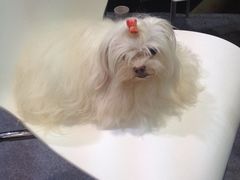 iphone_upload_pic-东浩兰生上海世博展览馆