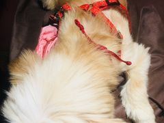 -周幺妹重庆老火锅(银泰城总店)