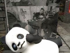 -泡桐树街
