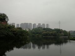 -重庆彩云湖湿地公园