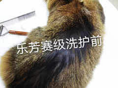 -汪小喵宠物·戴维斯乐芳希施宠馨宝皮毛调理洗护店