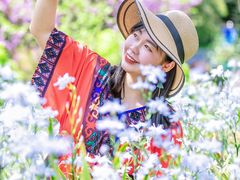 -铁山坪森林公园